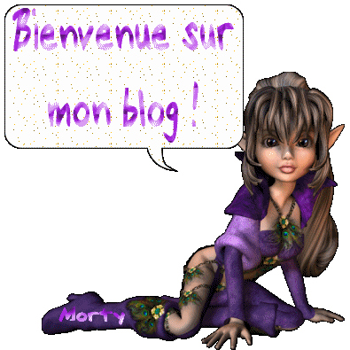 princesse du blog